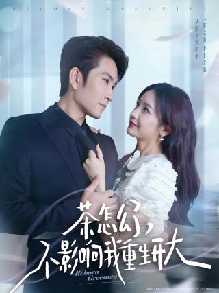 短剧茶怎么了，不影响我重生开大海报