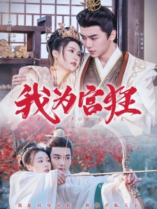 短剧我为宫狂海报