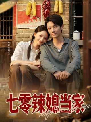短剧七零辣媳当家海报