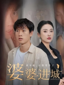 短剧婆婆进城海报