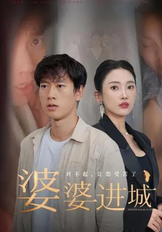 短剧婆婆进城海报