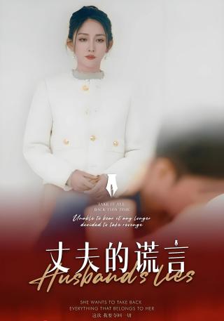 短剧丈夫的谎言海报