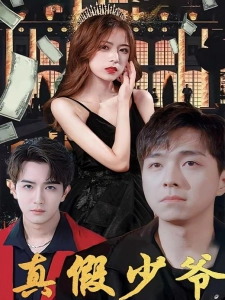 短剧真假少爷海报