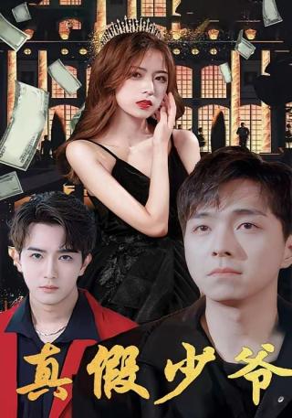 短剧真假少爷海报