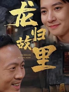 短剧龙归故里海报