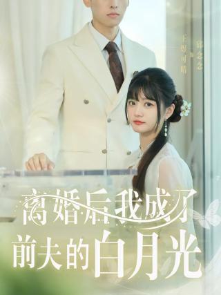 短剧离婚后我成了前夫的白月光海报