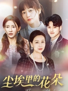 短剧尘埃里的花朵海报