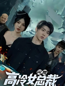 短剧闪婚高冷女总裁海报