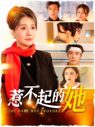 短剧惹不起的她海报