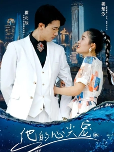 短剧他的心尖宠海报