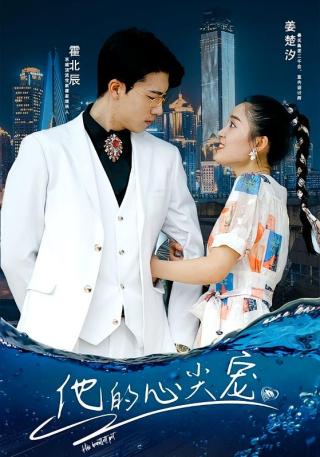 短剧他的心尖宠海报