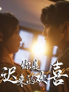 短剧你是迟来的欢喜海报