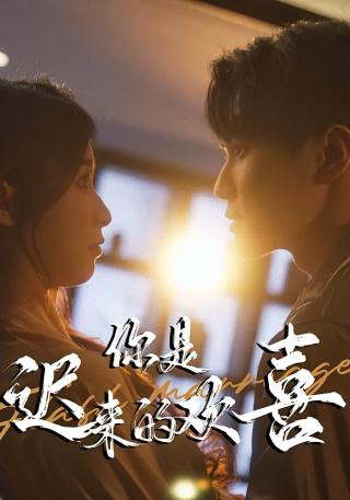 短剧你是迟来的欢喜海报