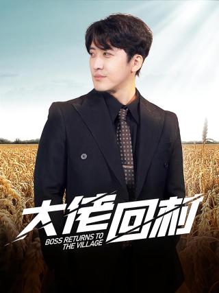短剧大佬回村海报