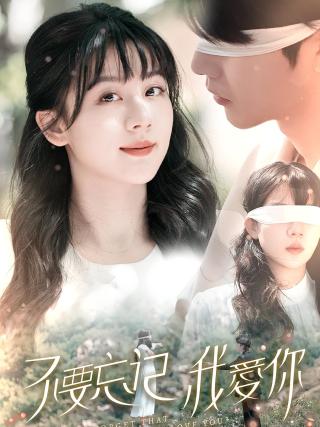 短剧不要忘记我爱你海报