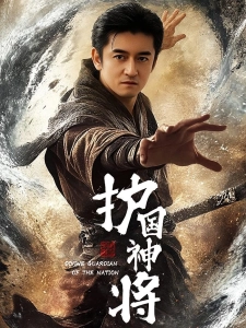 短剧护国神将海报