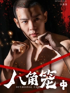 短剧八角笼中海报