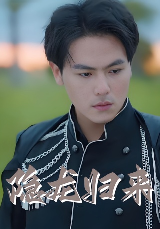 短剧隐龙归来海报