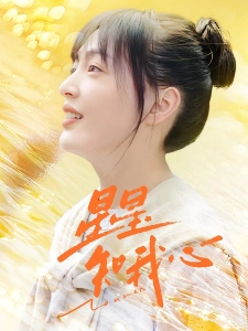 短剧星星知我心海报