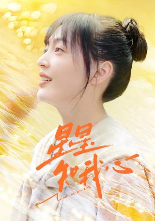 短剧星星知我心海报