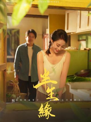 短剧半生缘海报