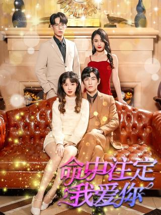 短剧命中注定我爱你海报