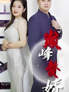 短剧巅峰赘婿海报