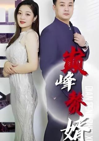 短剧巅峰赘婿海报