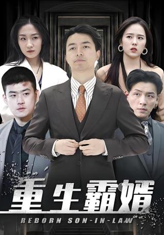 短剧重生霸婿海报