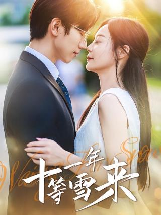 短剧十一年等雪来海报