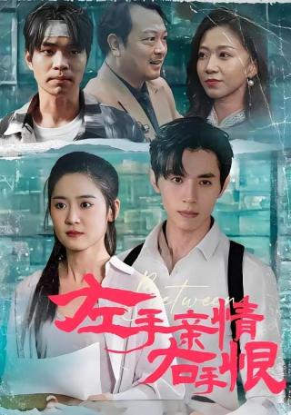 短剧左手亲情右手恨海报