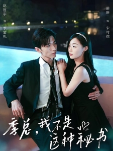 短剧季总，我不是这种秘书海报