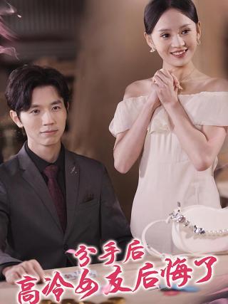 短剧分手后高冷女友后悔了海报