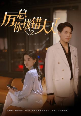 短剧厉总，你找错夫人了海报