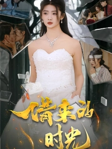 短剧借来的时光海报