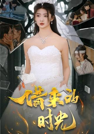 短剧借来的时光海报