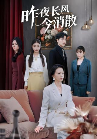 短剧昨夜长风今消散海报