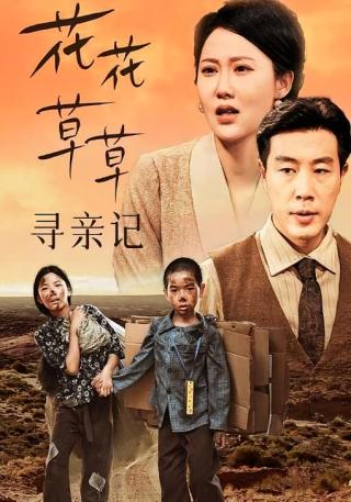 短剧花花草草寻亲记海报