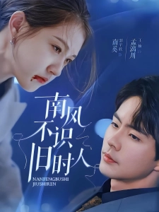 短剧南风不识旧时人海报