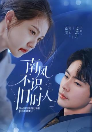 短剧南风不识旧时人海报