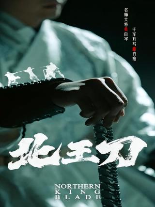 短剧北王刀海报