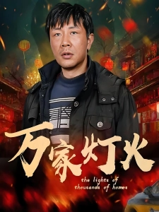 短剧万家灯火海报