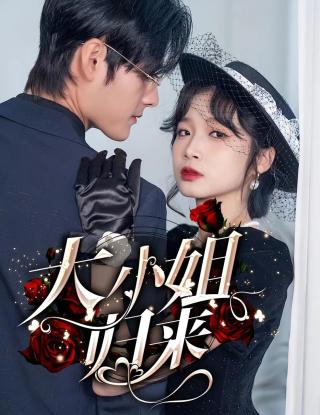 短剧大小姐归来海报