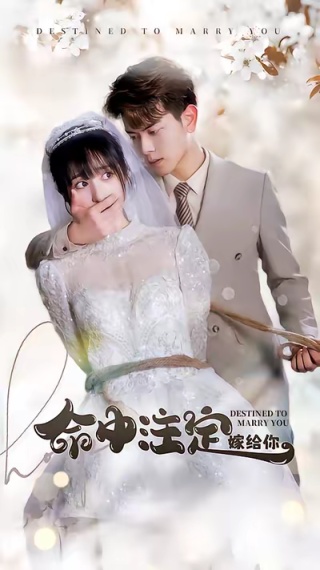 短剧命中注定嫁给你海报