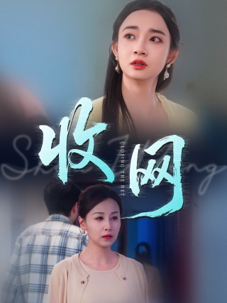 短剧收网海报