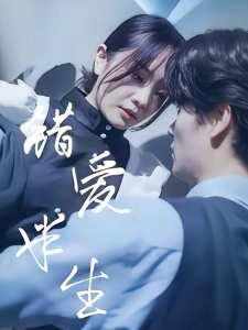 短剧错爱半生海报