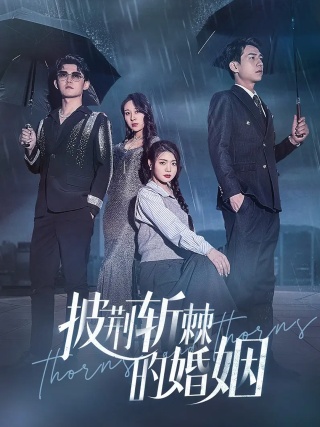 短剧披荆斩棘的婚姻海报