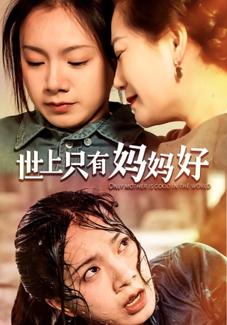 短剧世上只有妈妈好海报