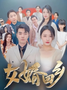 短剧女婿回乡海报