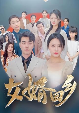 短剧女婿回乡海报